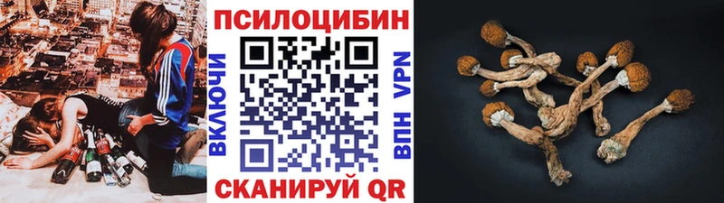 закладка  Хвалынск  Псилоцибиновые грибы MAGIC MUSHROOMS 