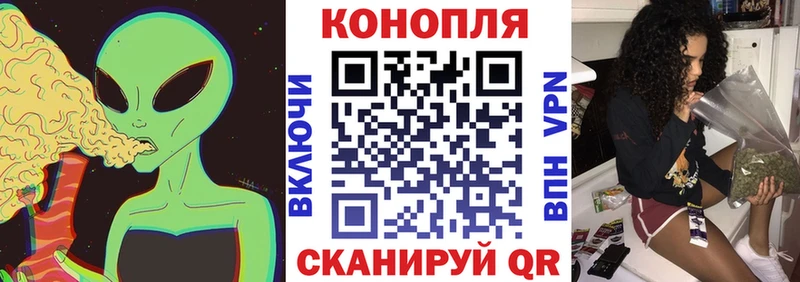 Конопля семена  площадка состав  Хвалынск 